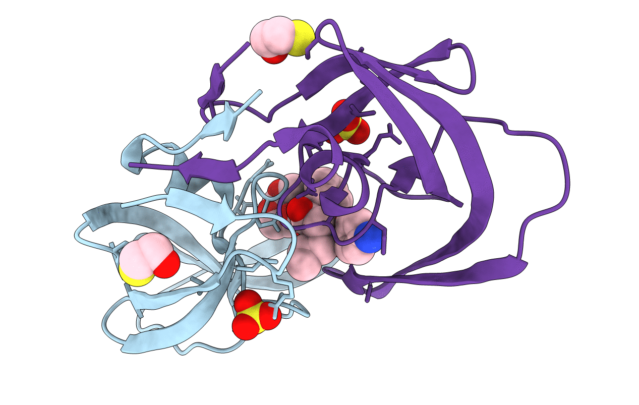 3T3C image