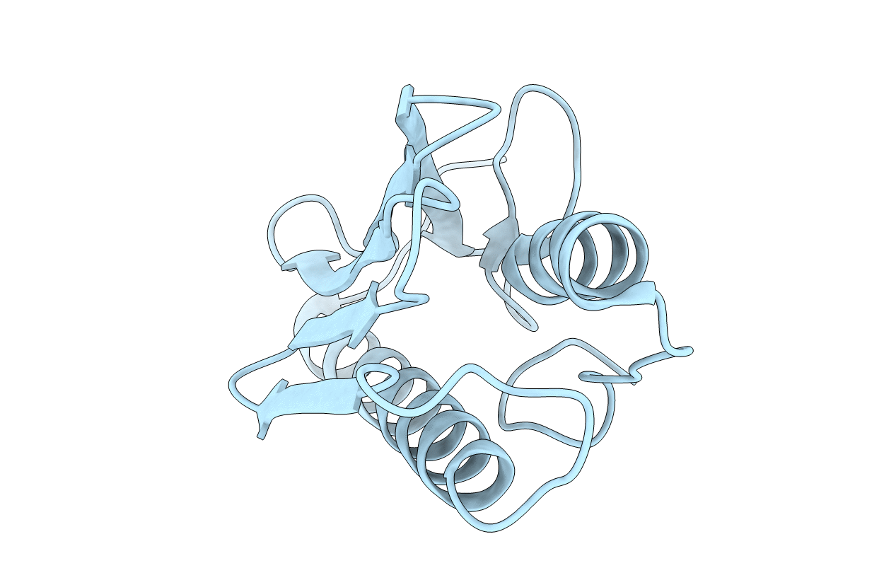 3T3J image