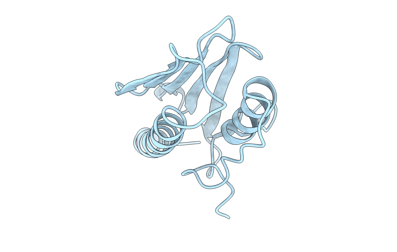 3T3K image