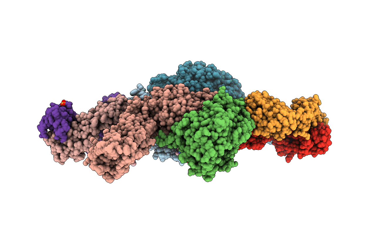 3T3M image