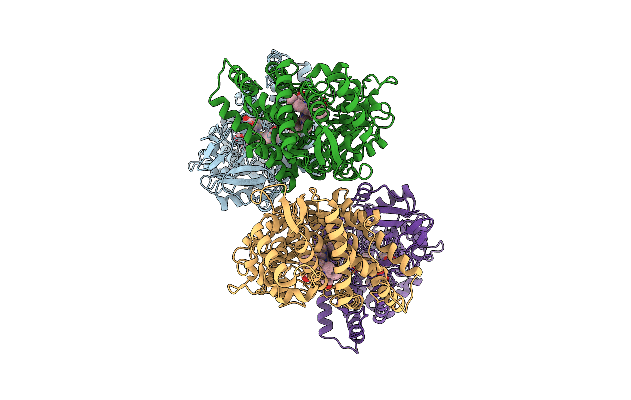 3T3Q image
