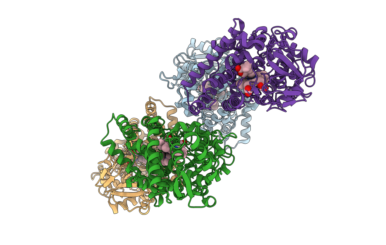 3T3R image