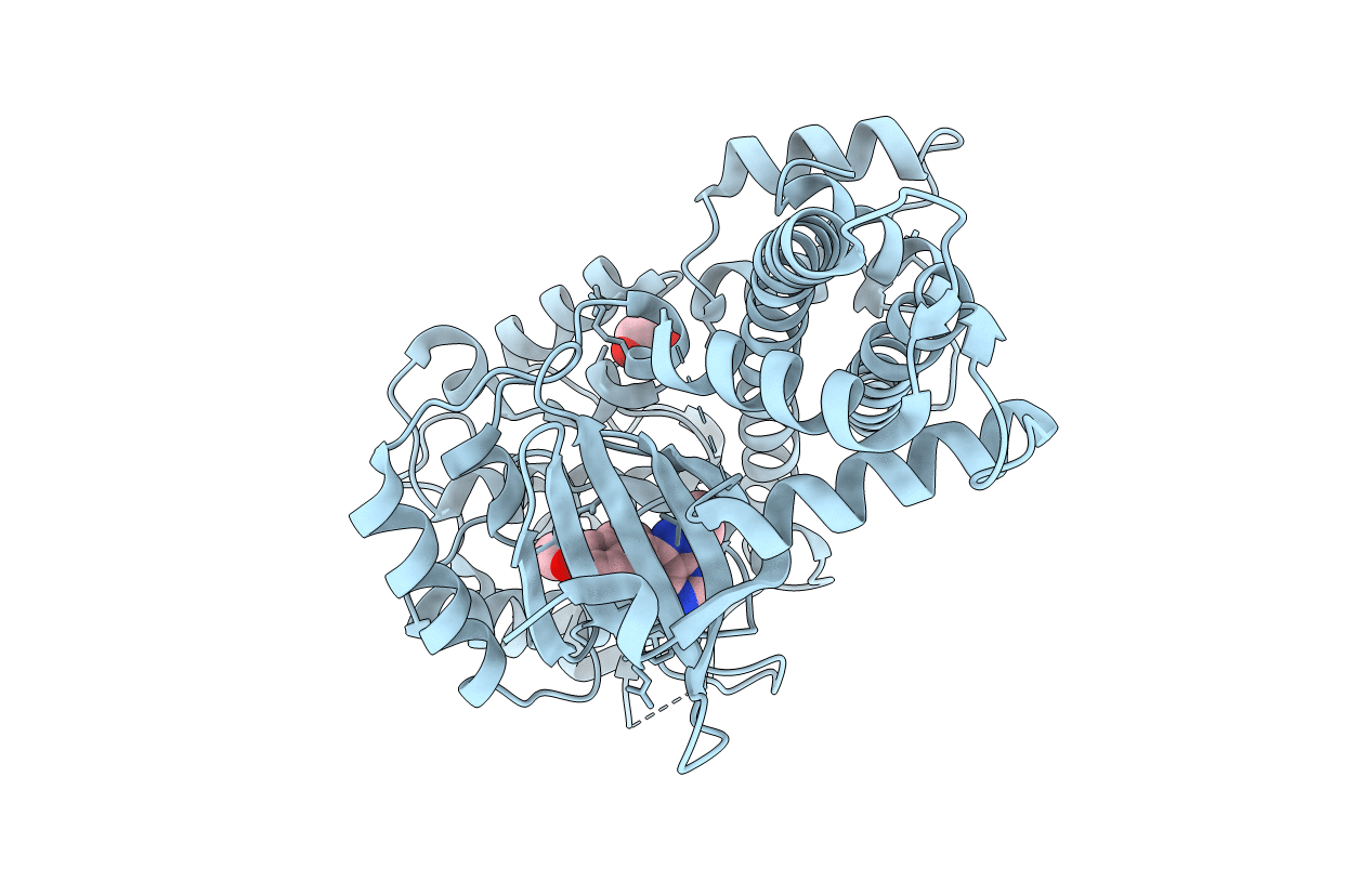 3T3V image