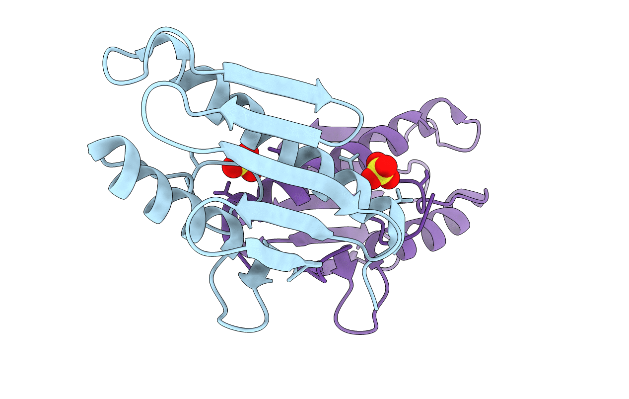 3T3X image