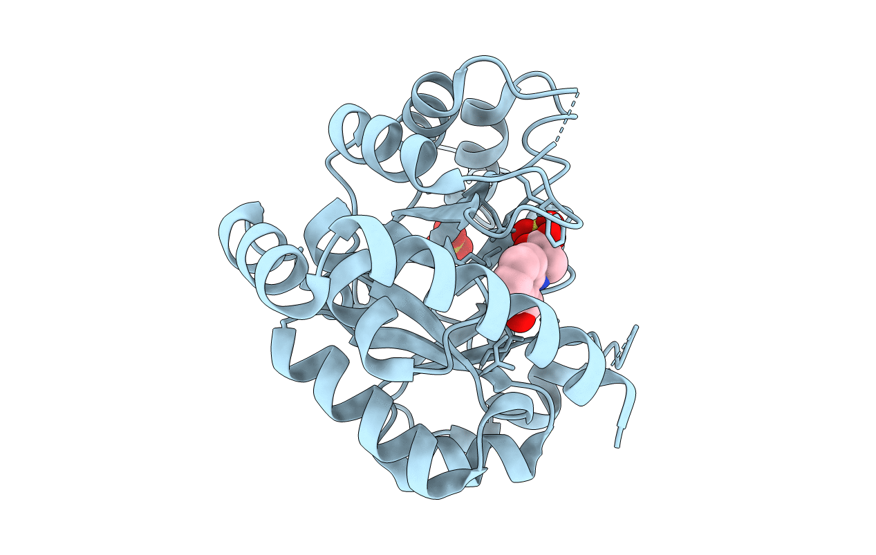 3T40 image