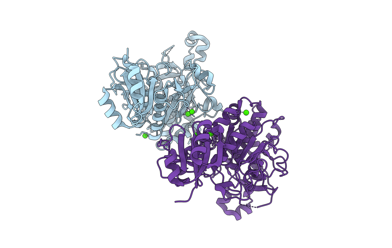3T41 image