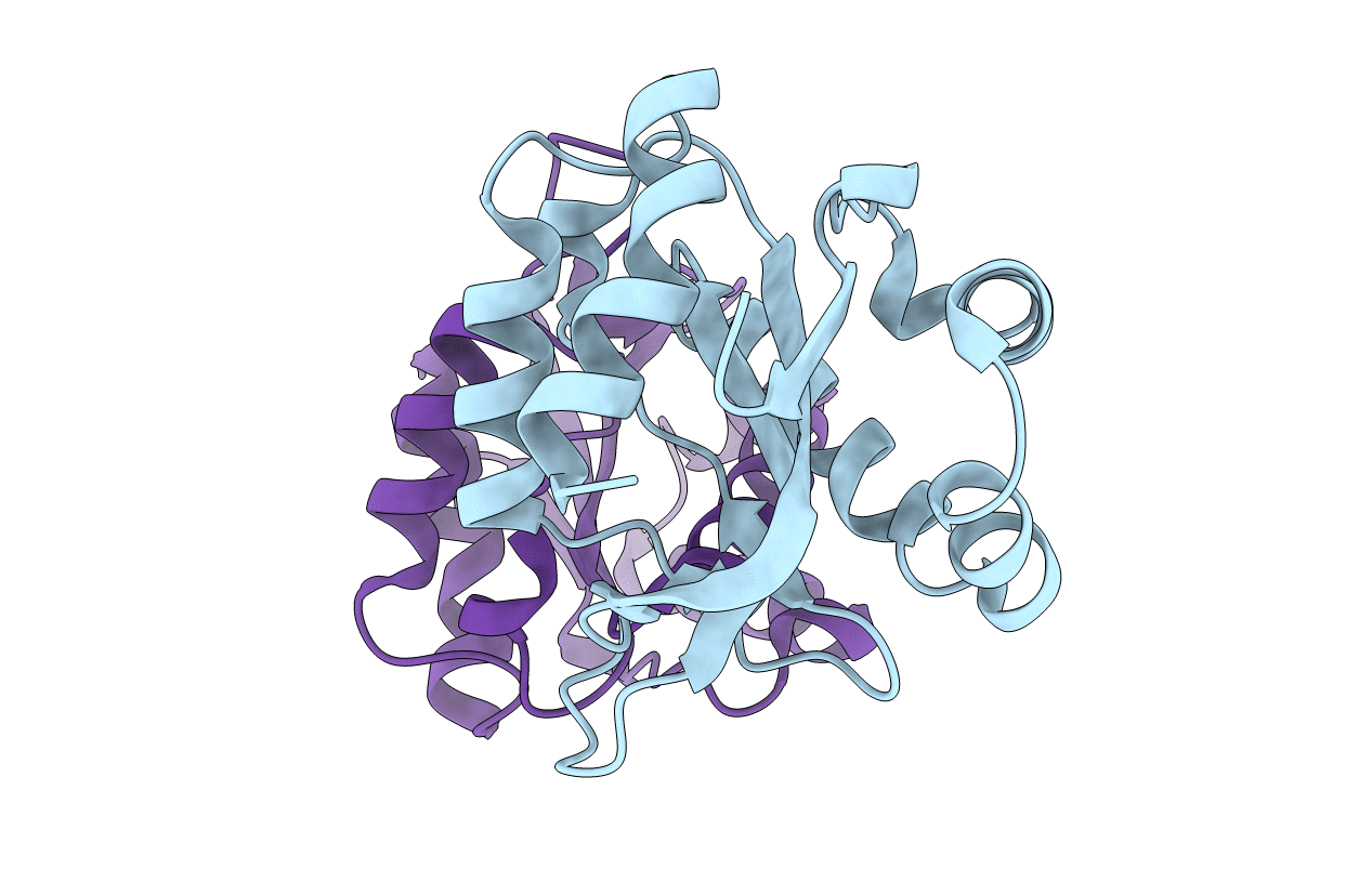 3T43 image