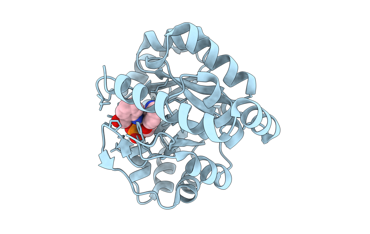 3T44 image