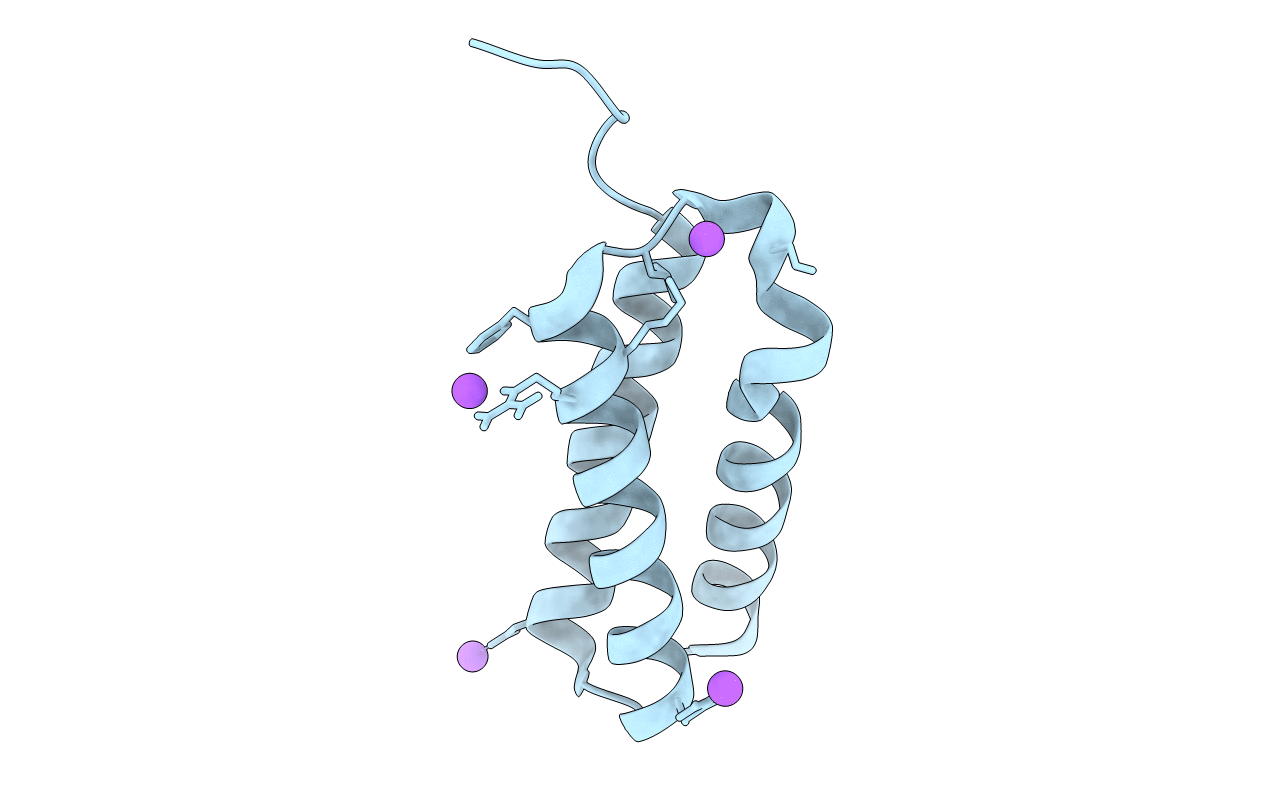 3T46 image