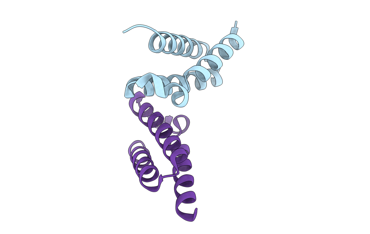 3T47 image