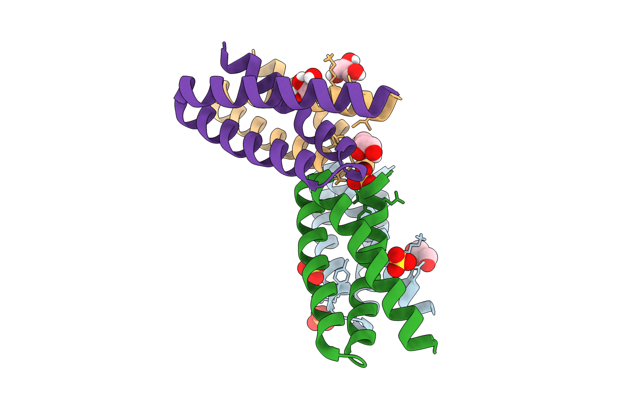 3T49 image
