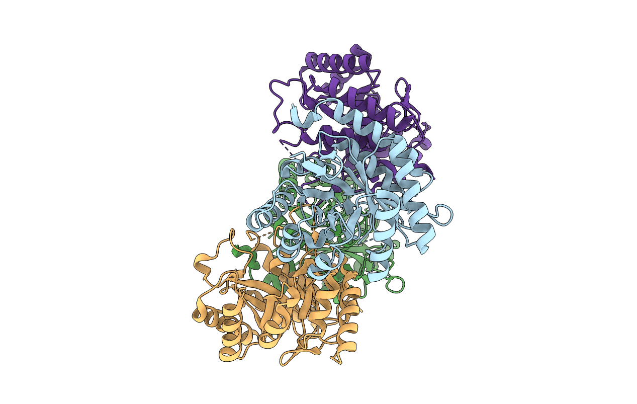 3T4C image