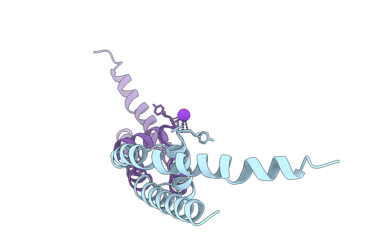 3T4D image