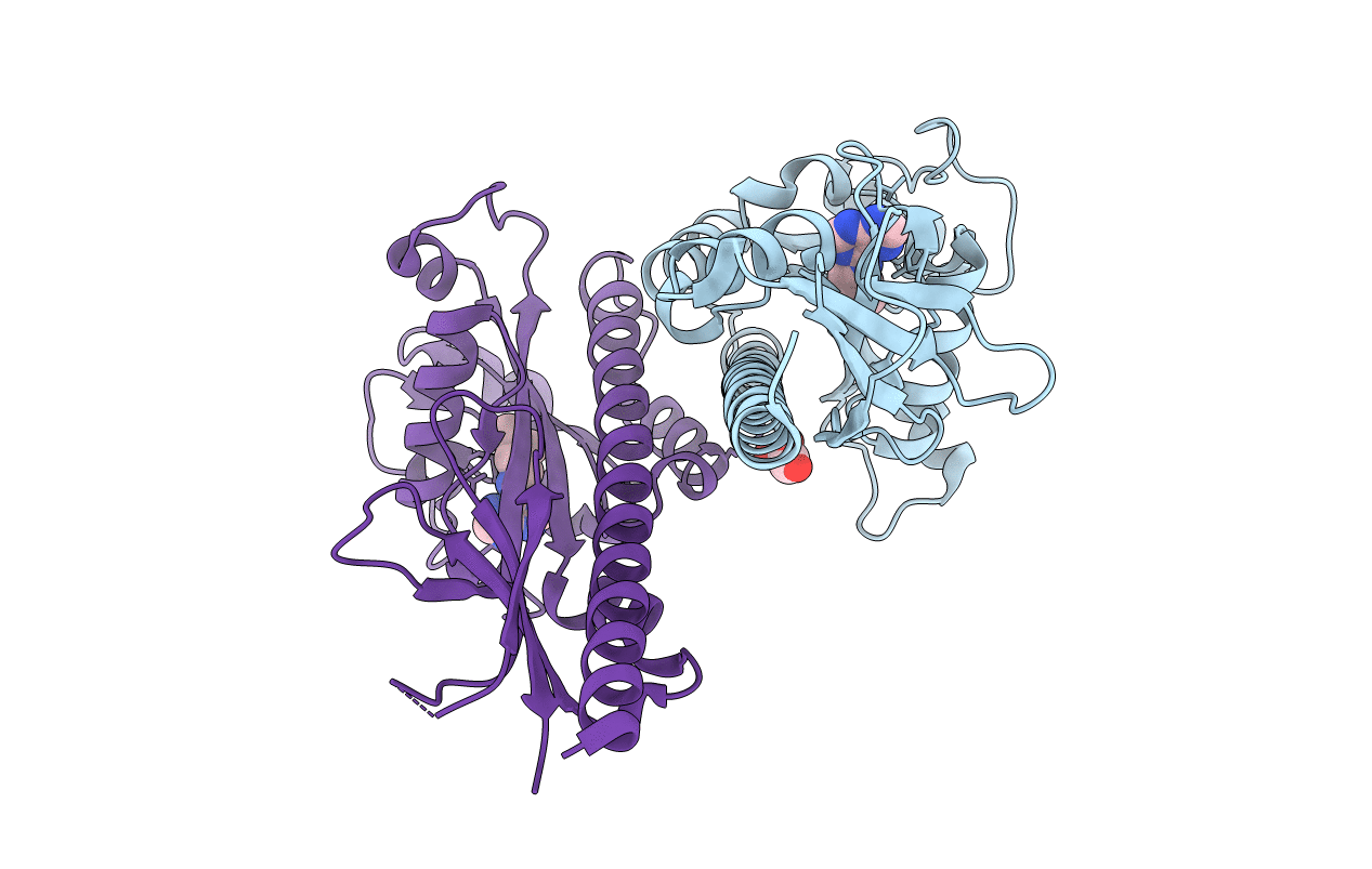 3T4J image