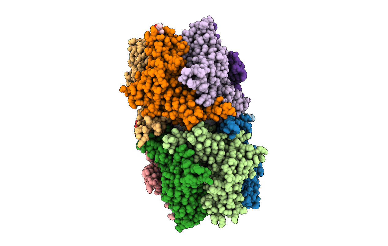 3T4M image