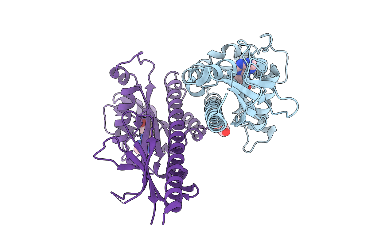3T4O image