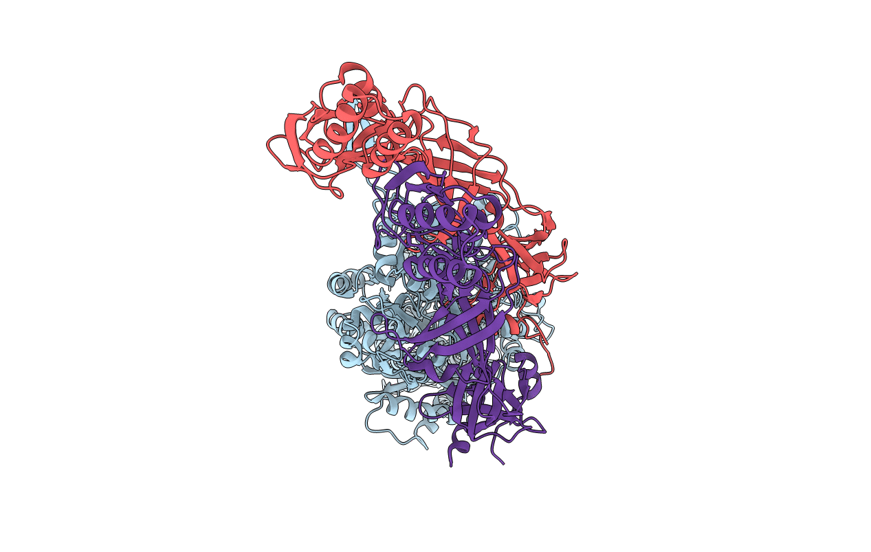 3T51 image