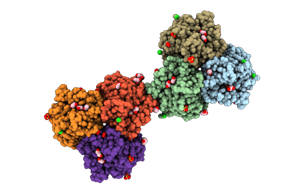 3T52 image