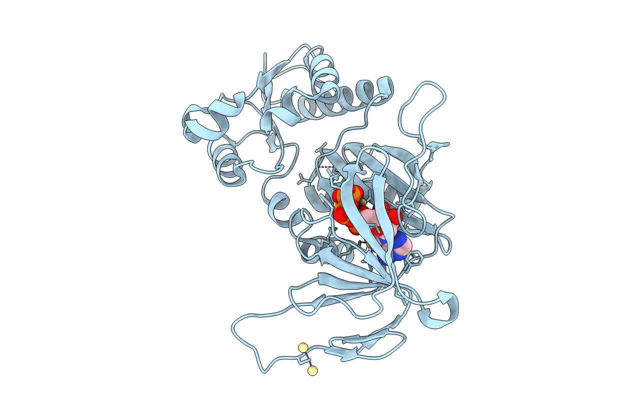 3T54 image