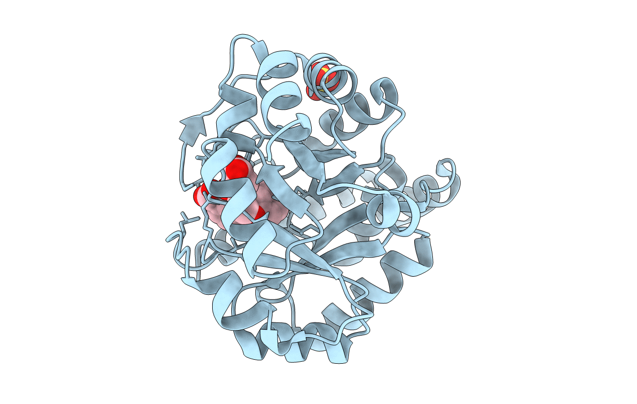 3T55 image