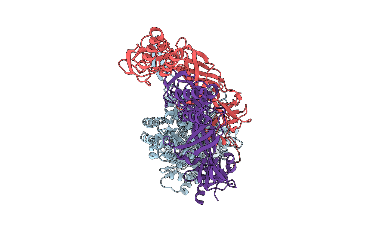 3T56 image