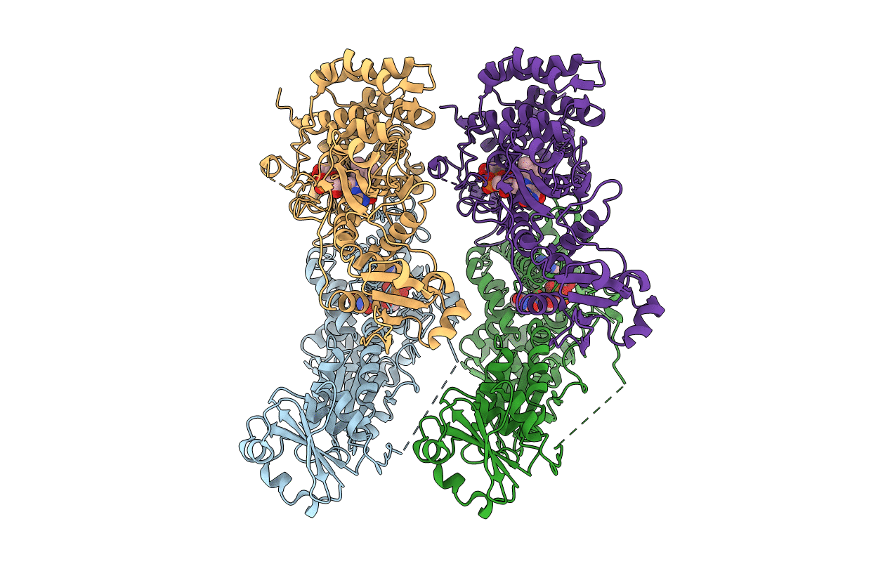 3T58 image