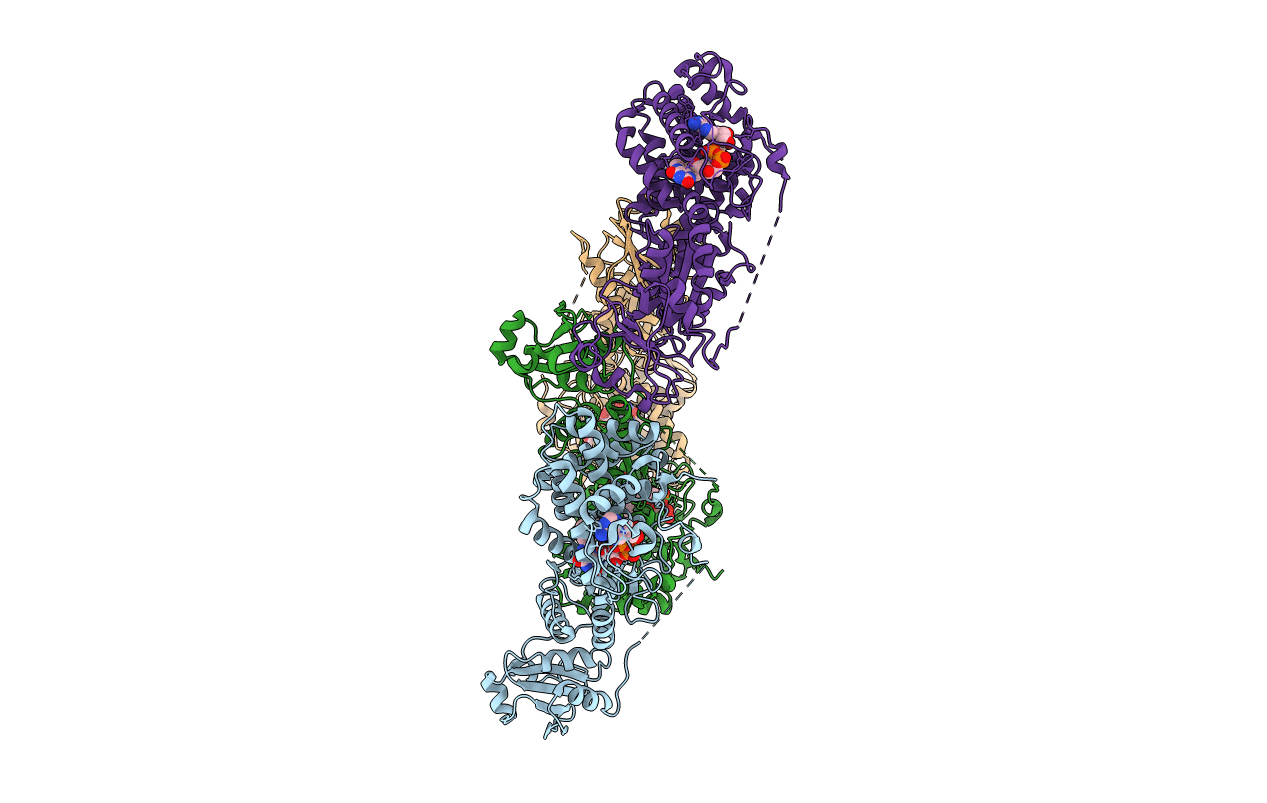 3T59 image