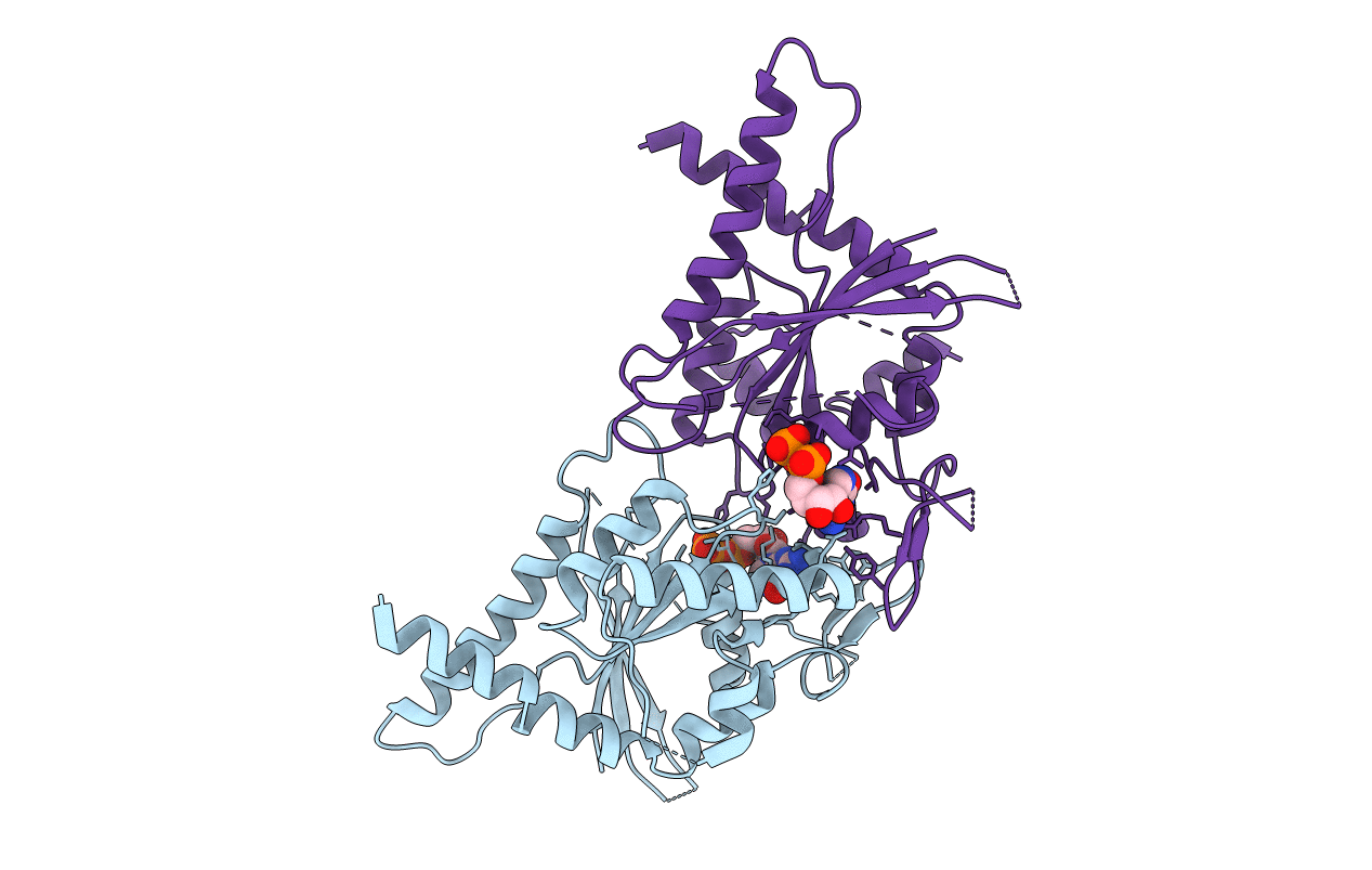 3T5D image