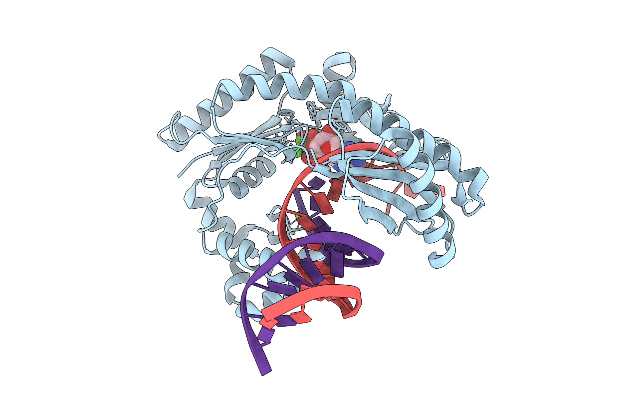 3T5H image
