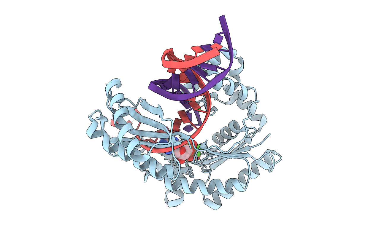 3T5J image