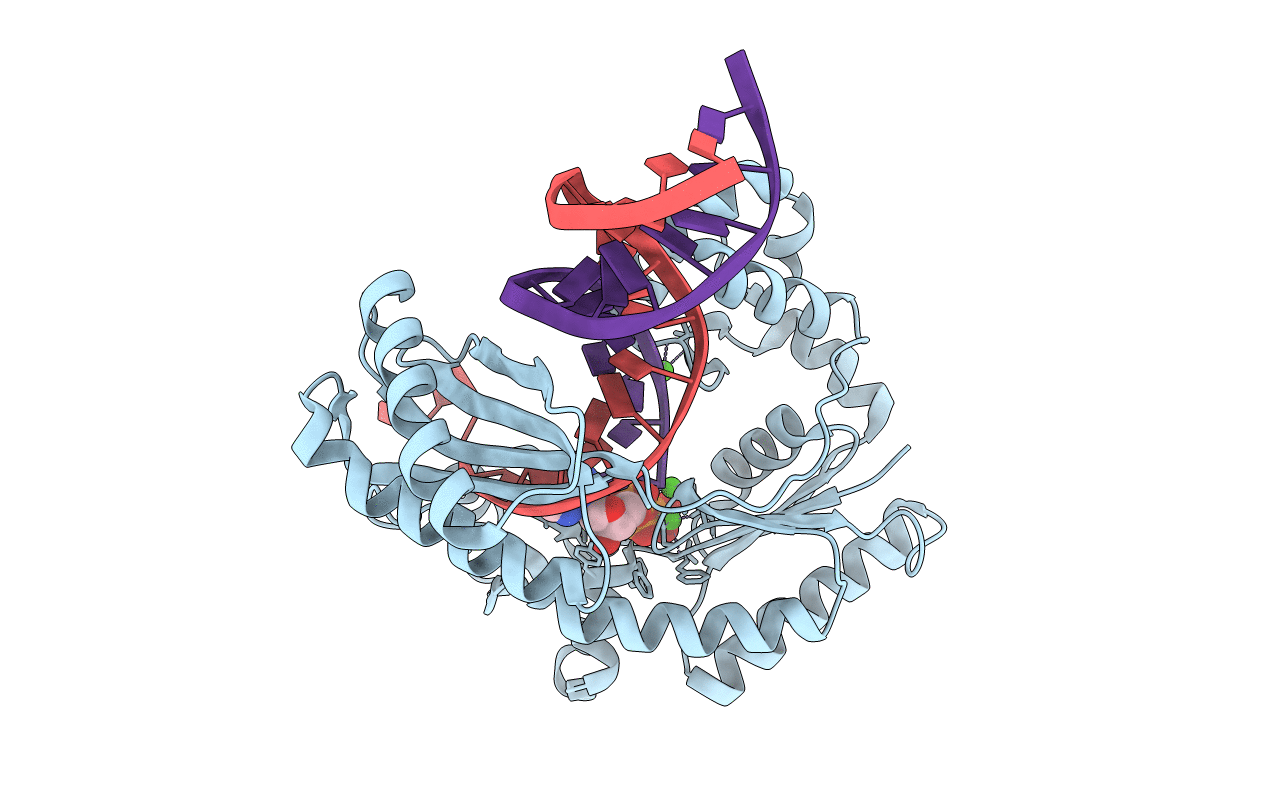 3T5K image