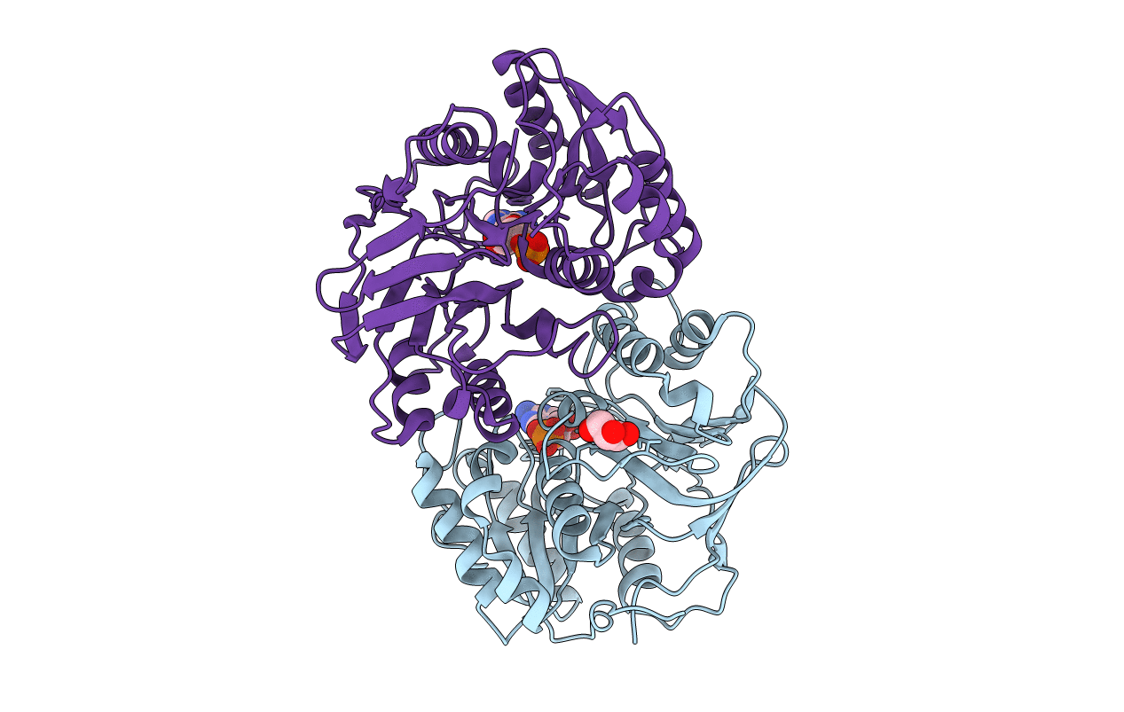 3T5M image