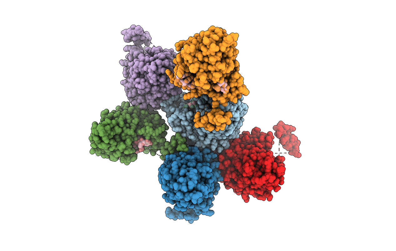 3T5Q image
