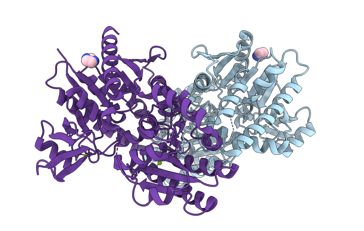 3T5T image
