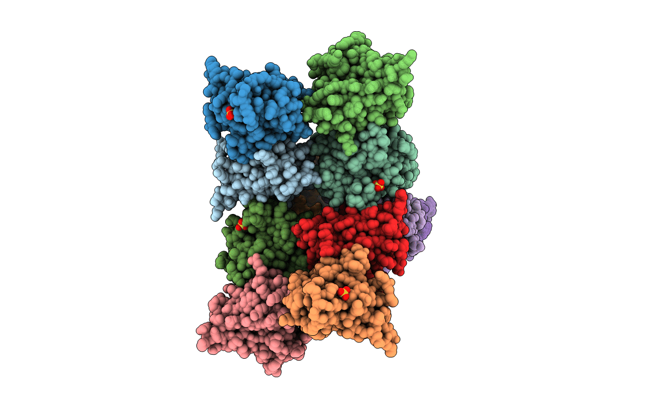 3T5W image
