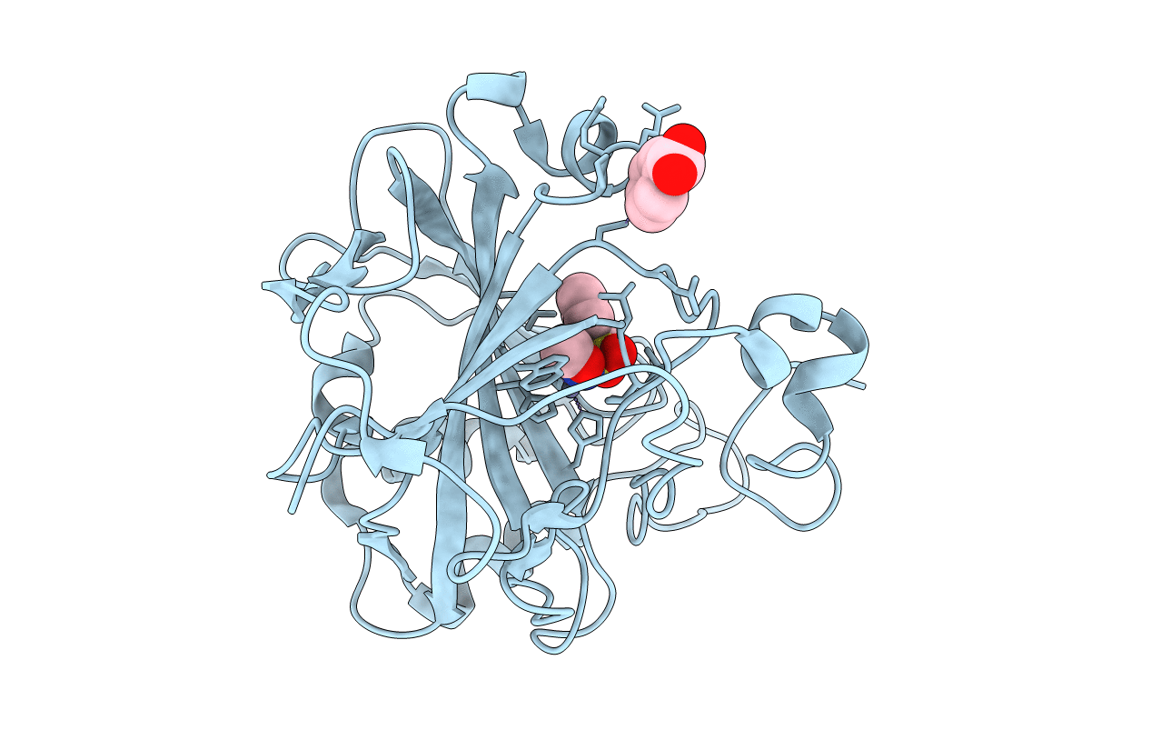 3T5Z image