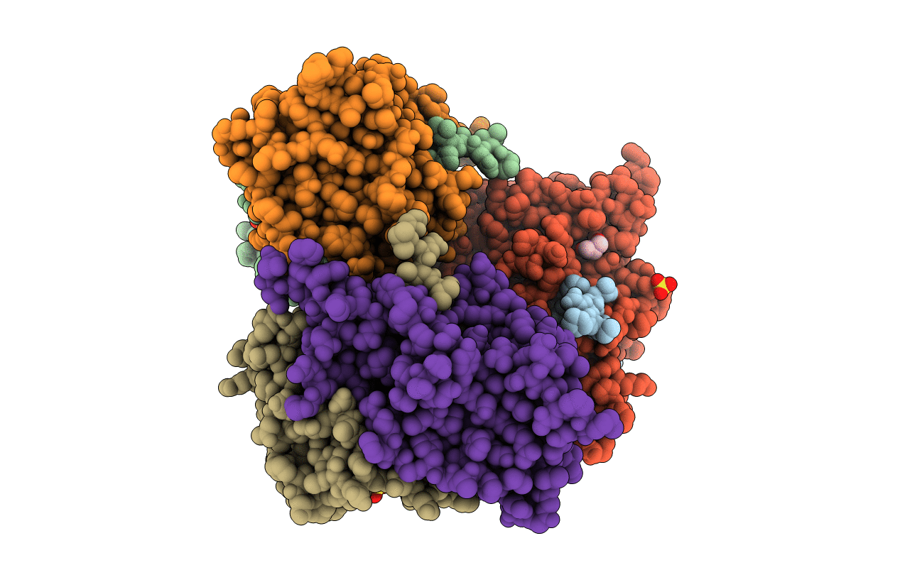 3T63 image