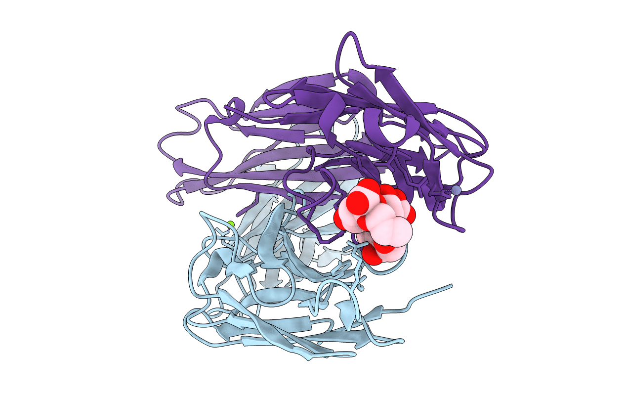 3T65 image