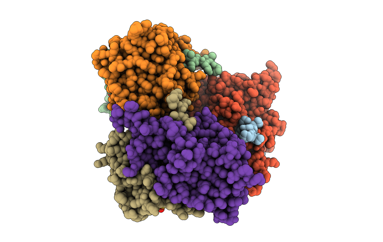 3T67 image