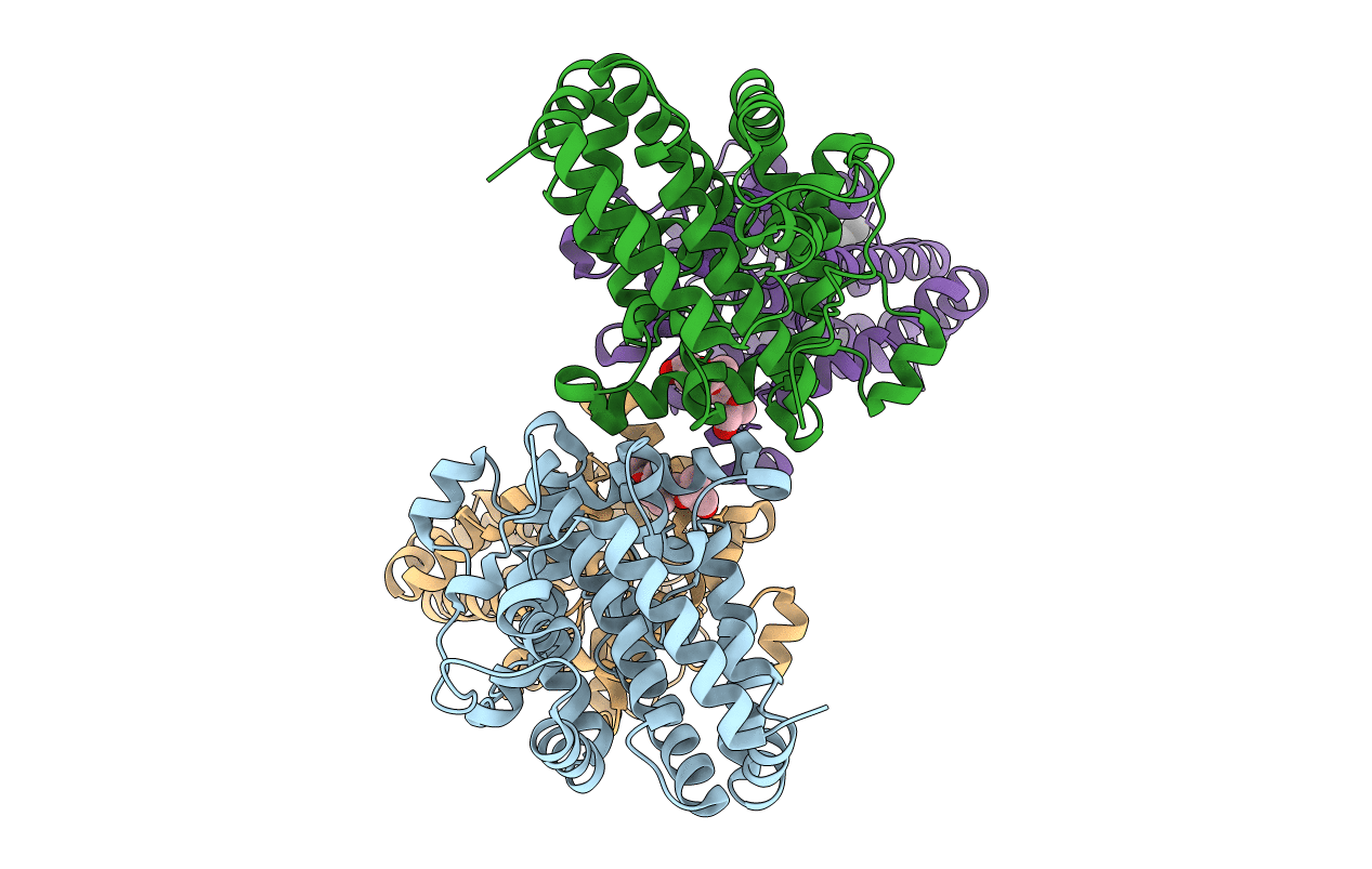 3T6A image