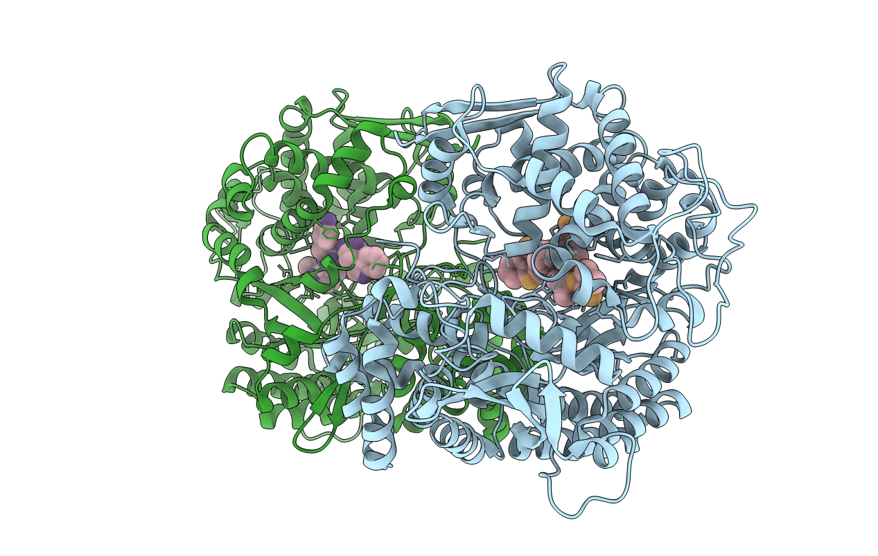 3T6B image
