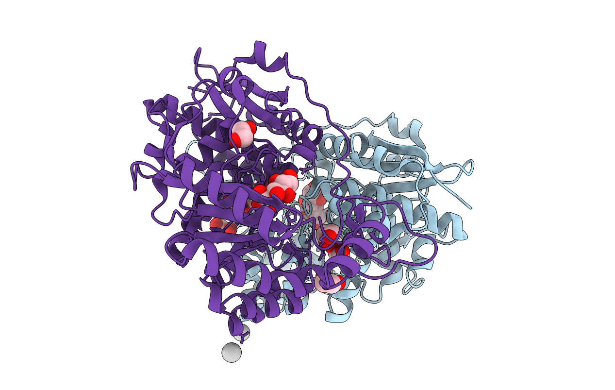 3T6C image
