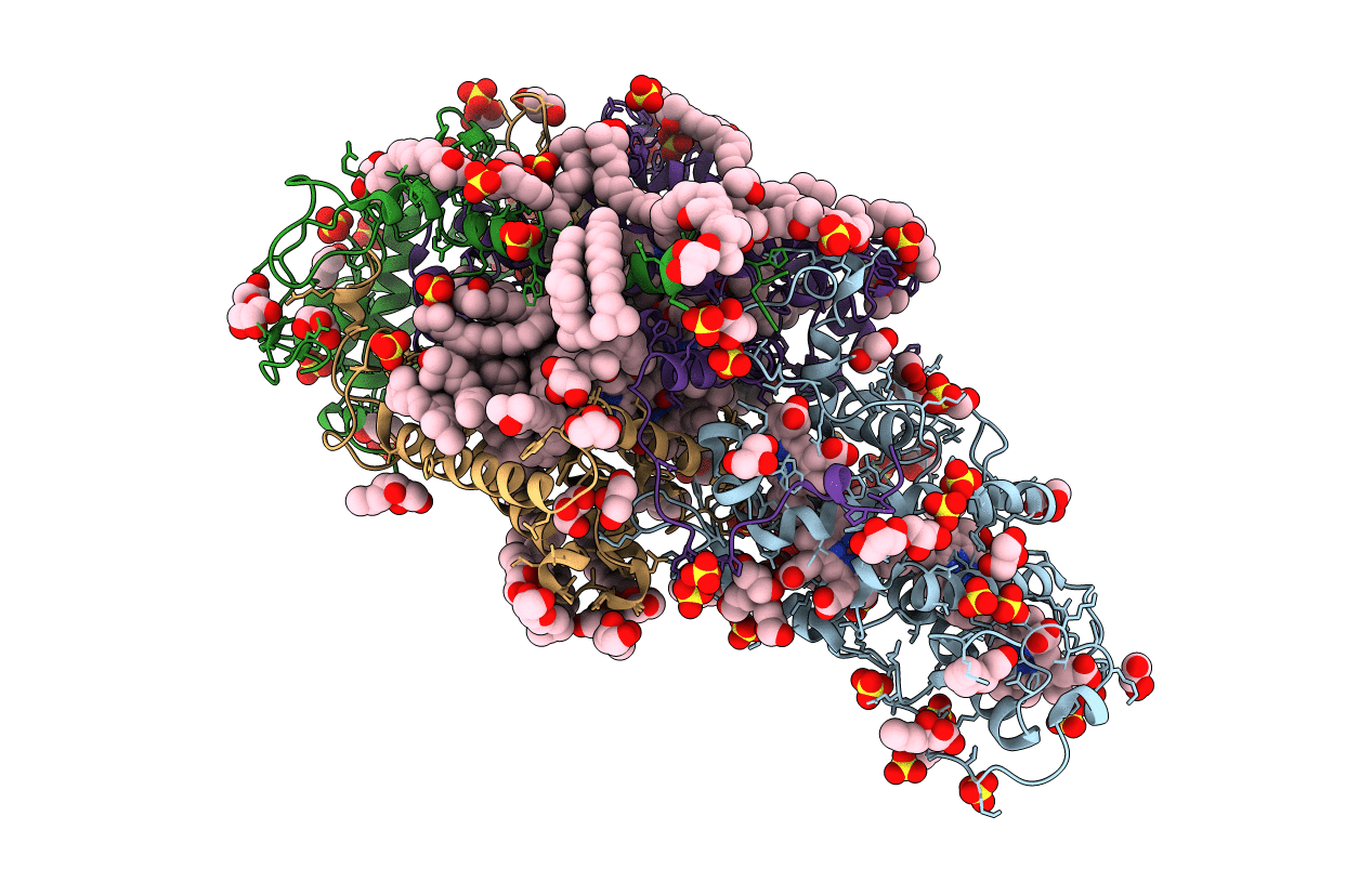 3T6D image