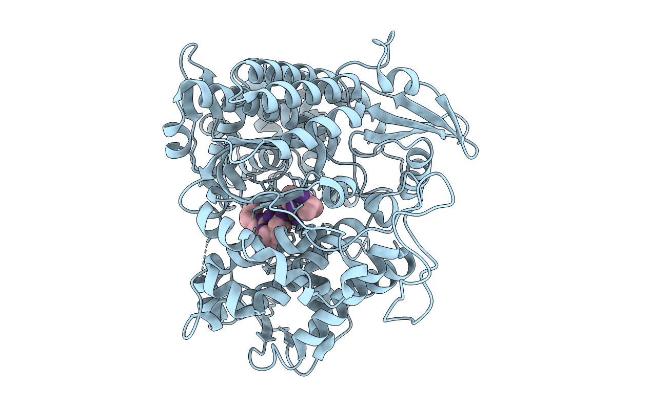 3T6J image