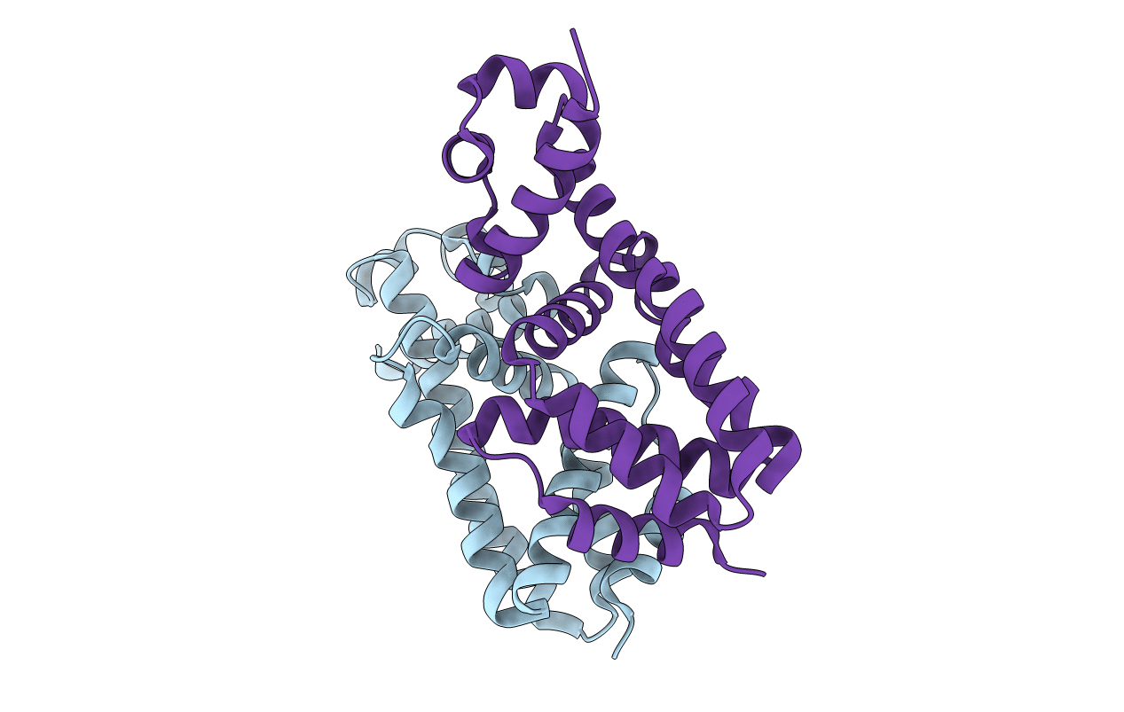 3T6N image