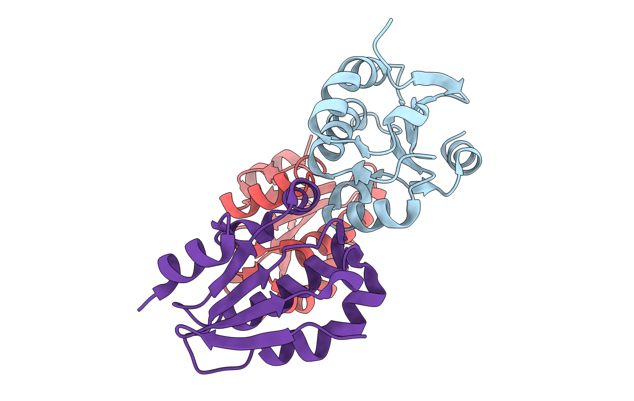 3T6O image