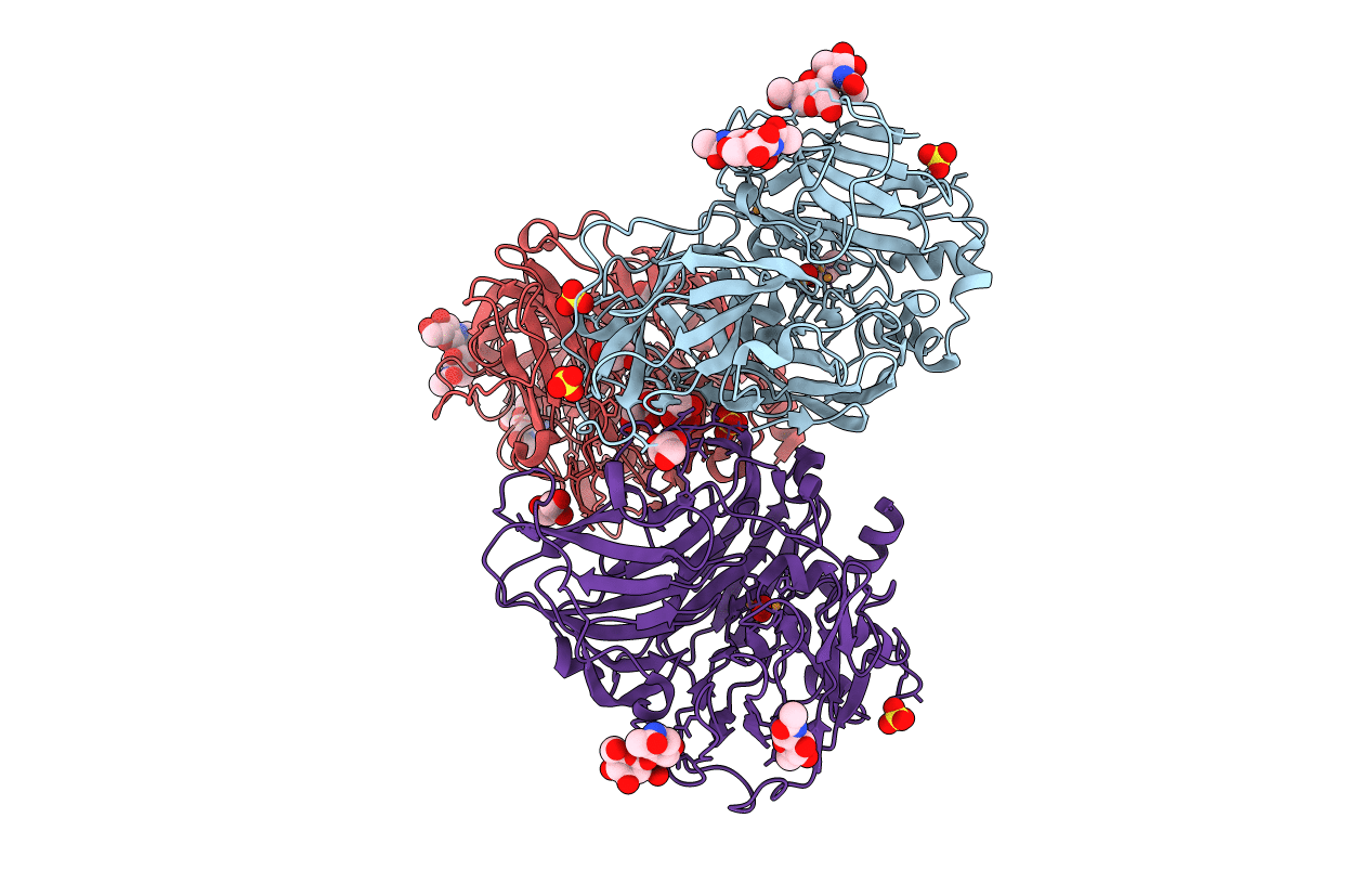 3T6W image