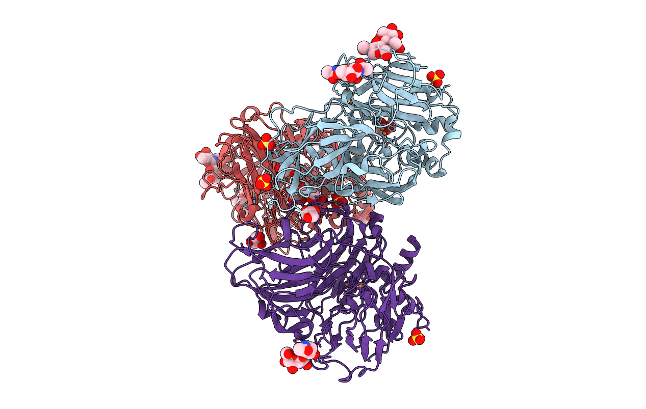 3T6Z image