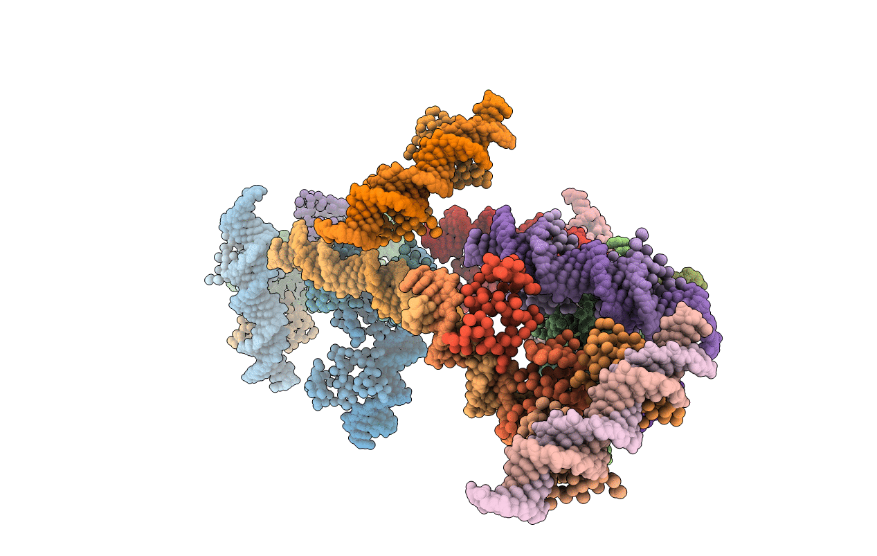 3T72 image