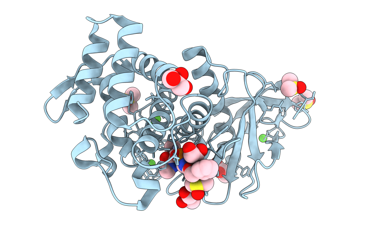 3T73 image